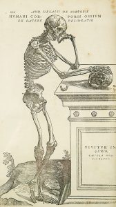 Esqueleto Humani corporis fabrica